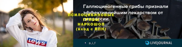 прущие крисы Переславль-Залесский