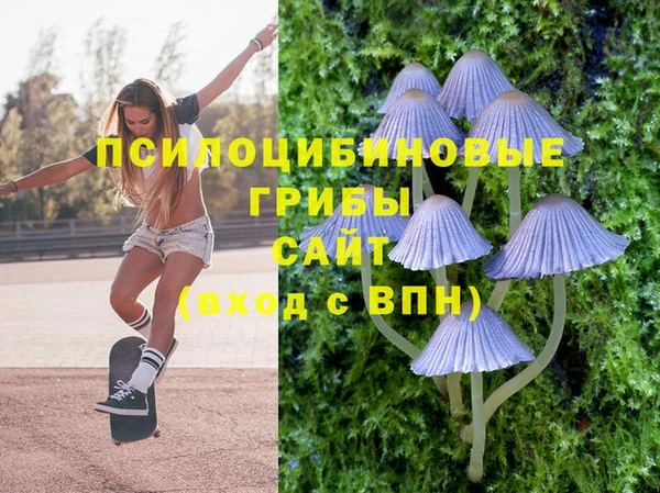 спайс Пересвет