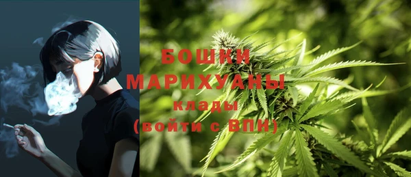 спайс Пересвет