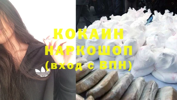 спайс Пересвет